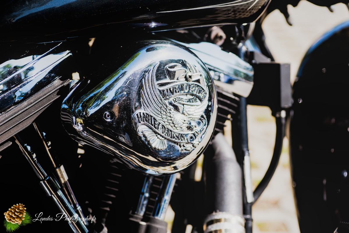 🚗 Car & Moto Addiction à Soustons : Le Charme Intemporel des Belles Anciennes